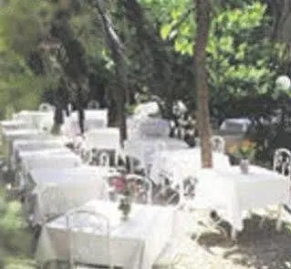 Medium Renaixença *